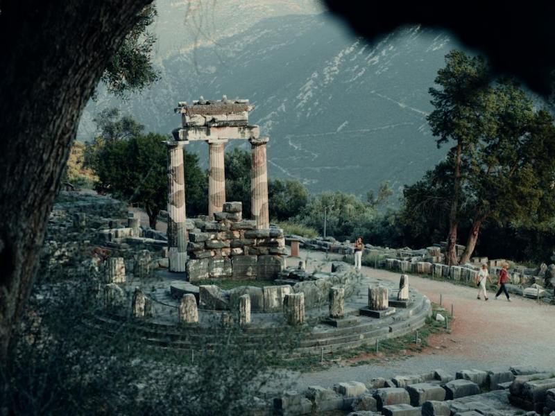 🌿 Question for the&nbsp;Oracle🌿