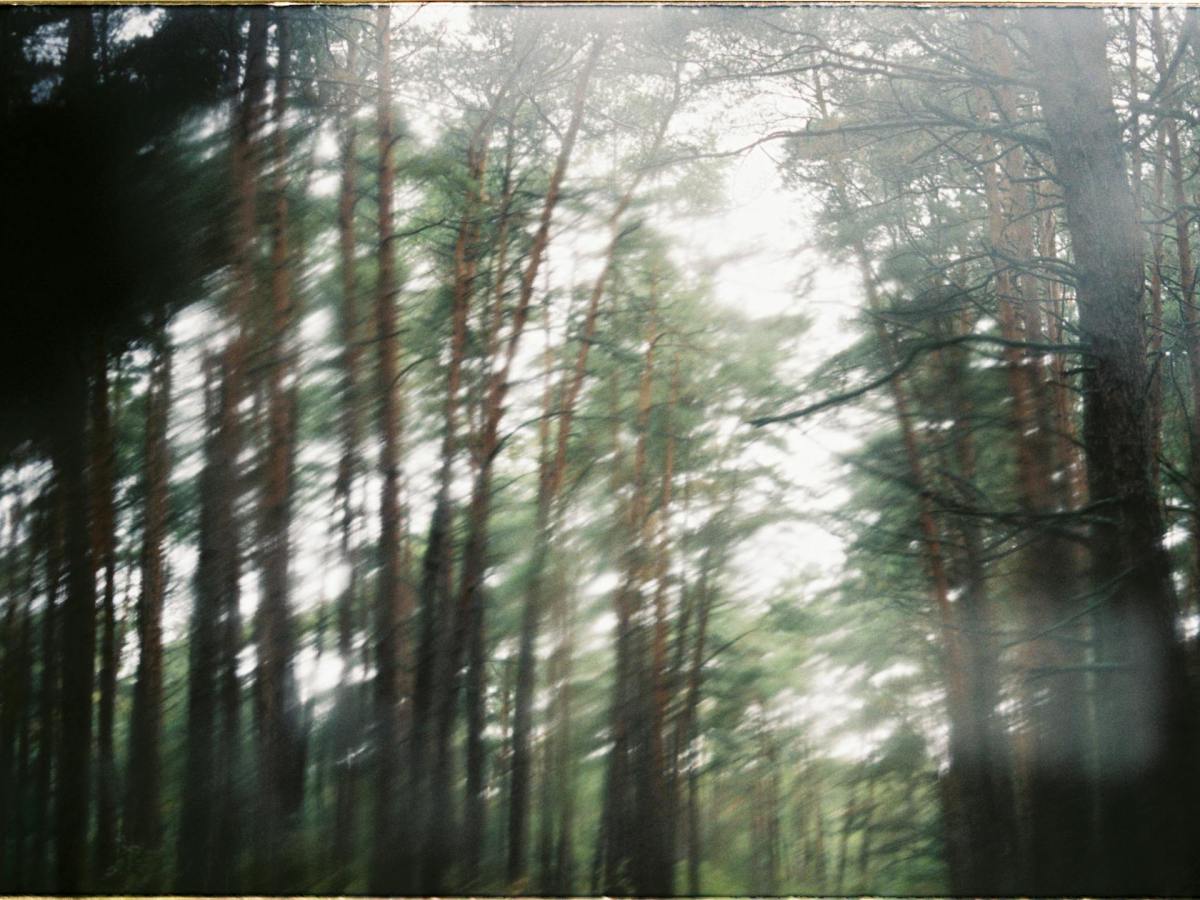 What If This Is All There&nbsp;Is?